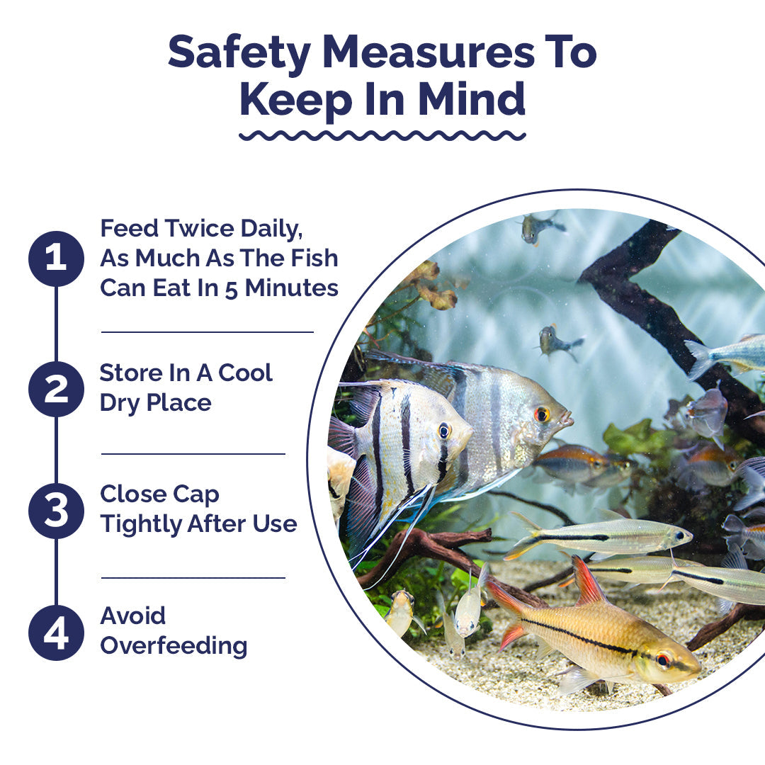 Intan Ornamental Fish Wafers (Small)