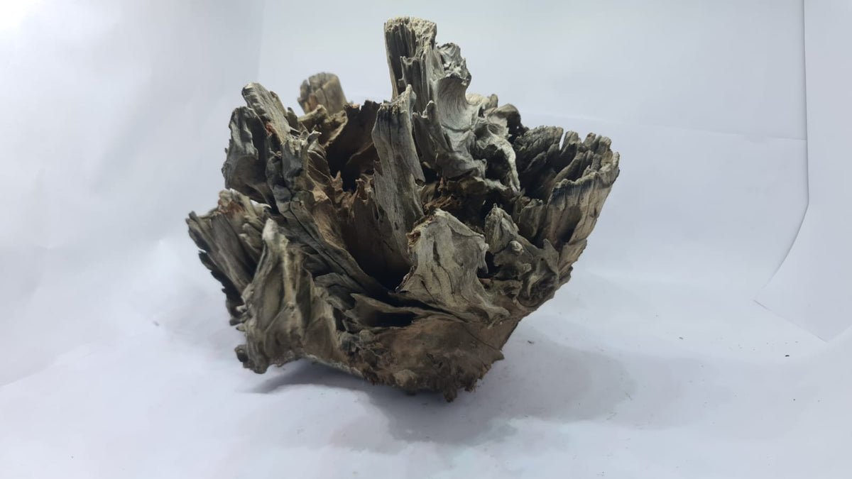 Robbers Cave Driftwood DWCXL