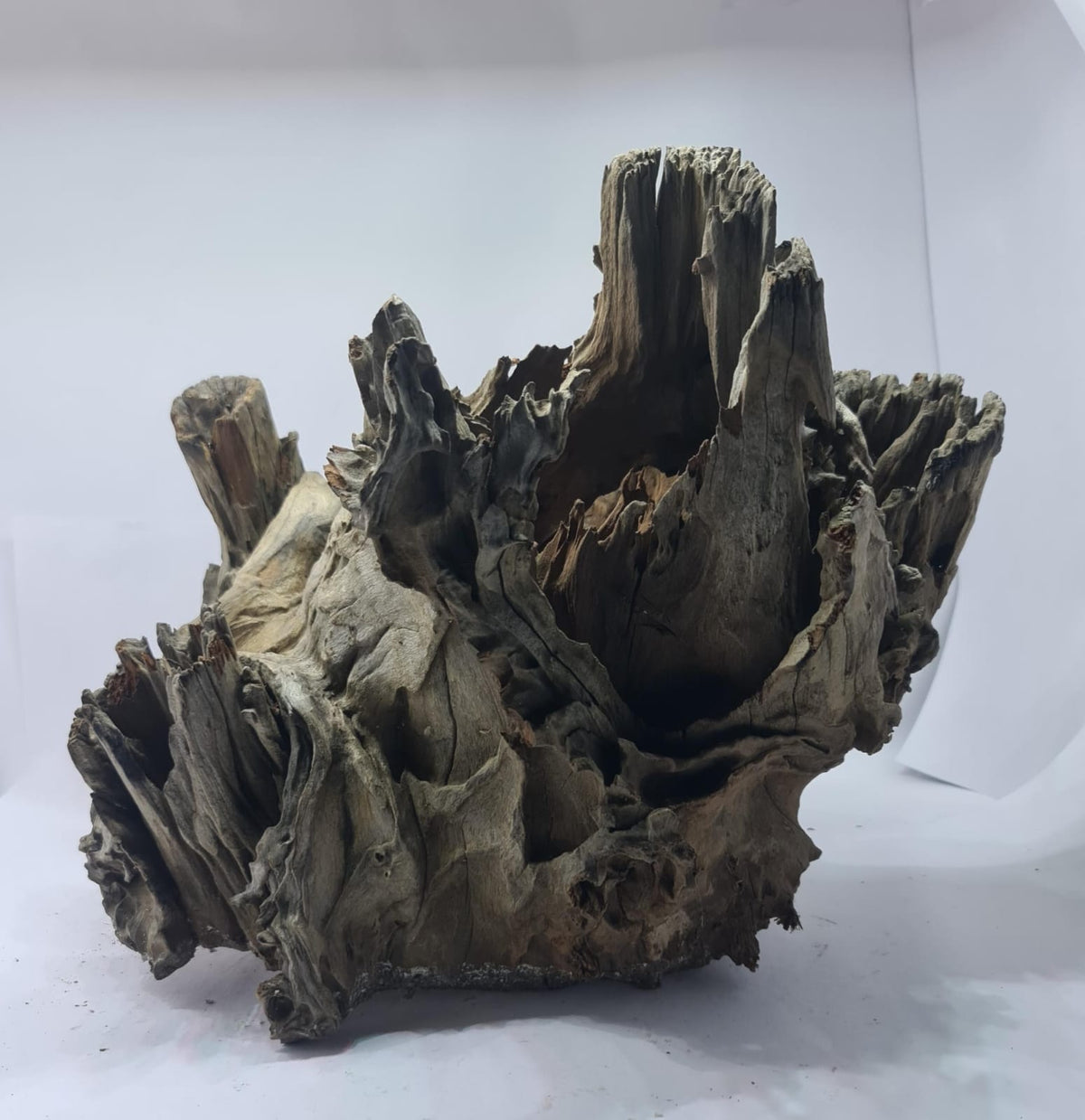 Robbers Cave Driftwood DWCXL