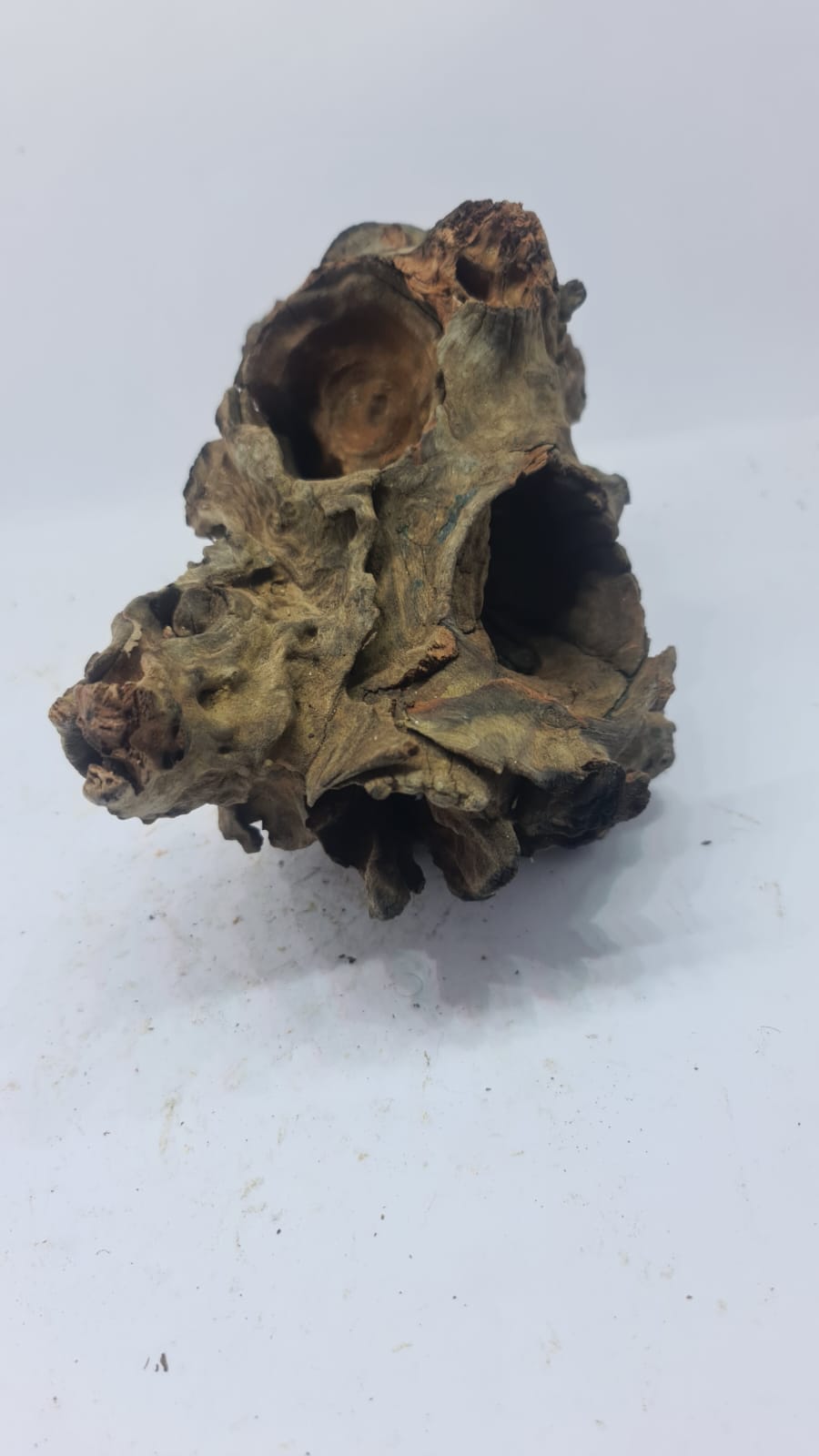 Robbers Cave Driftwood DWCM6