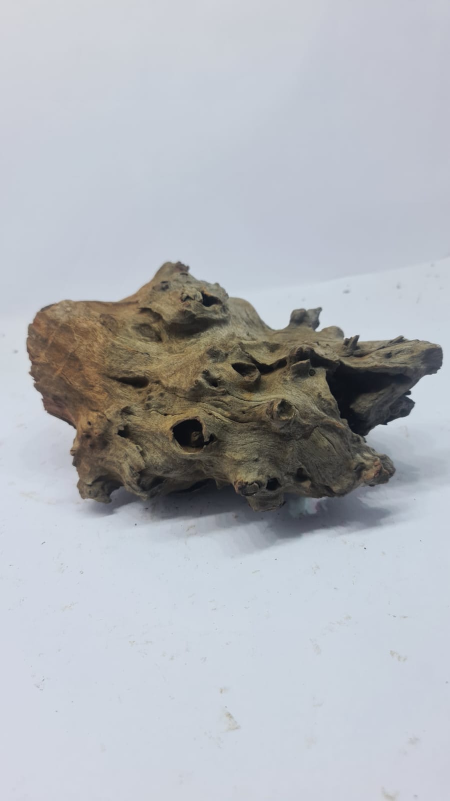 Robbers Cave Driftwood DWCM8