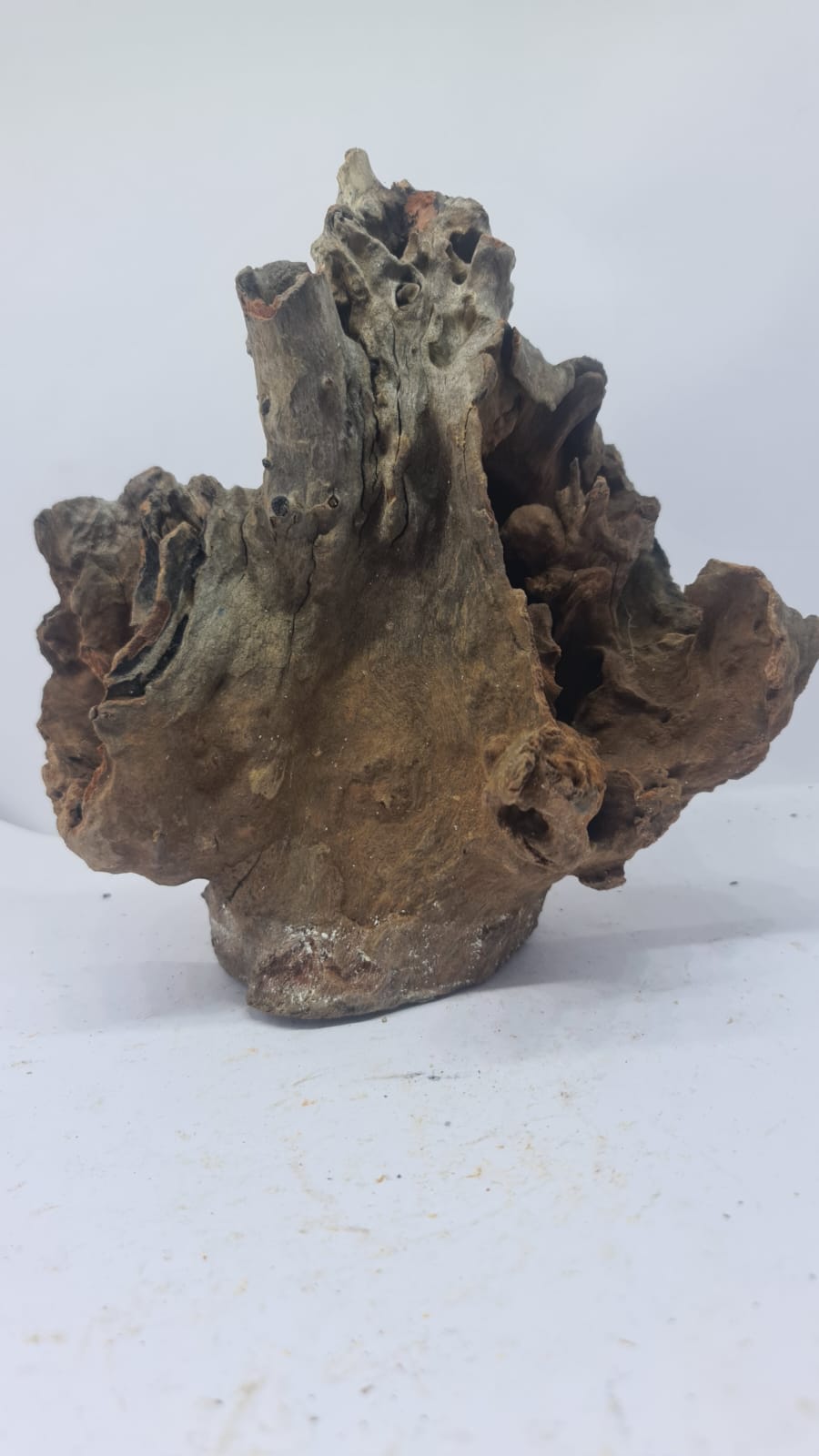 Robbers Cave Driftwood DWCM9