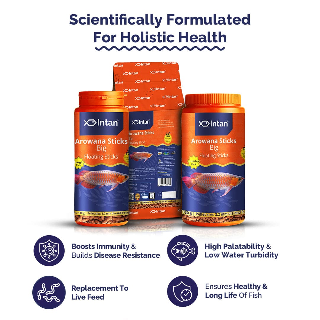 Intan Arowana Sticks (Big)