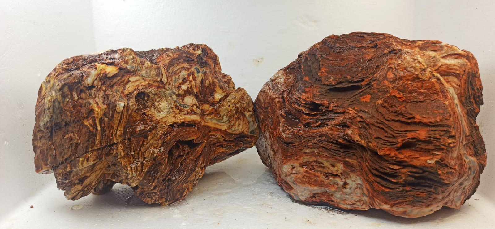 hardscape