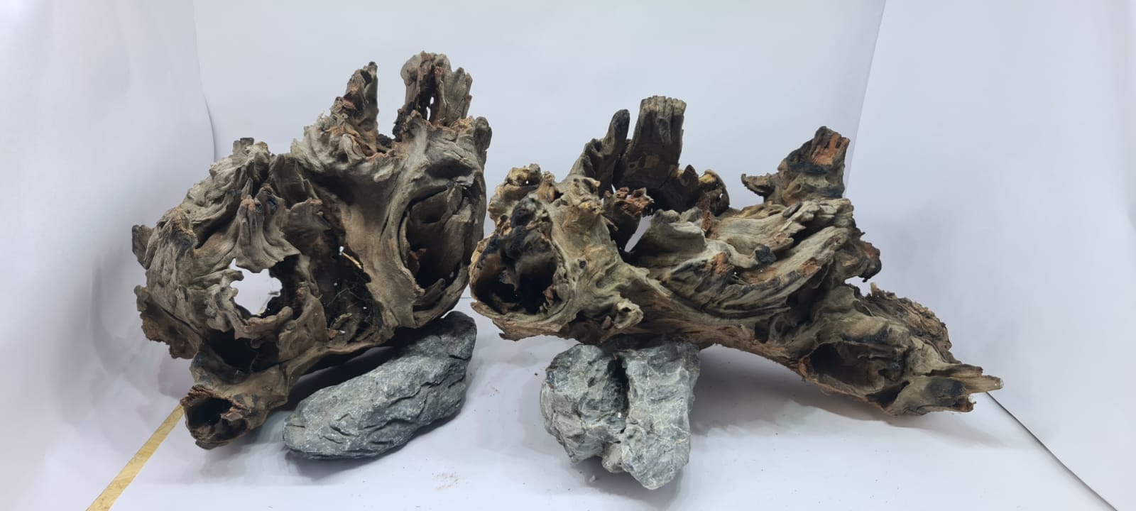 driftwood