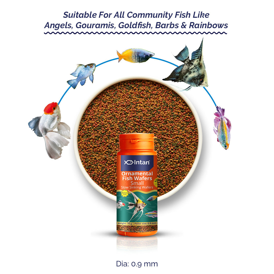 Intan Ornamental Fish Wafers (Small)