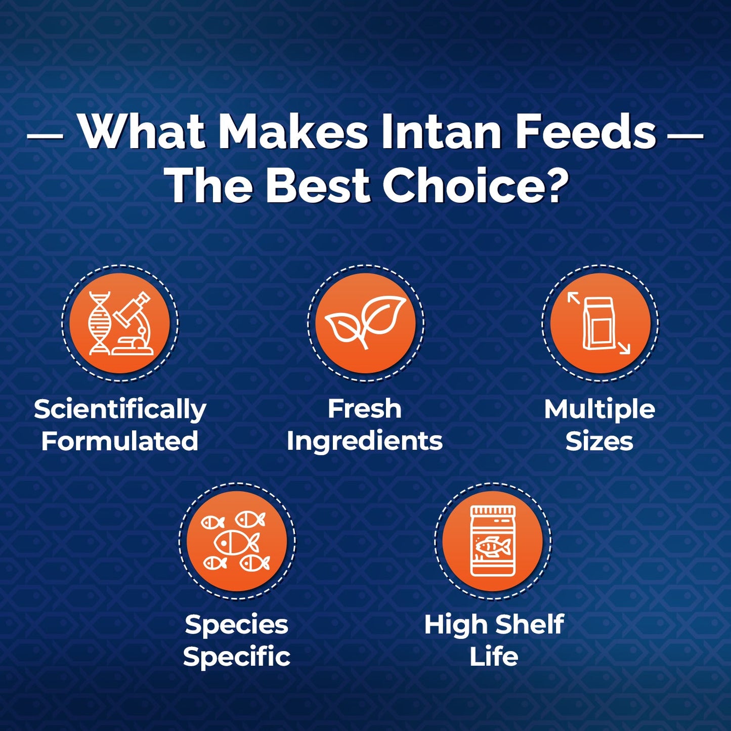 Intan Cichlid Pellets (Big)