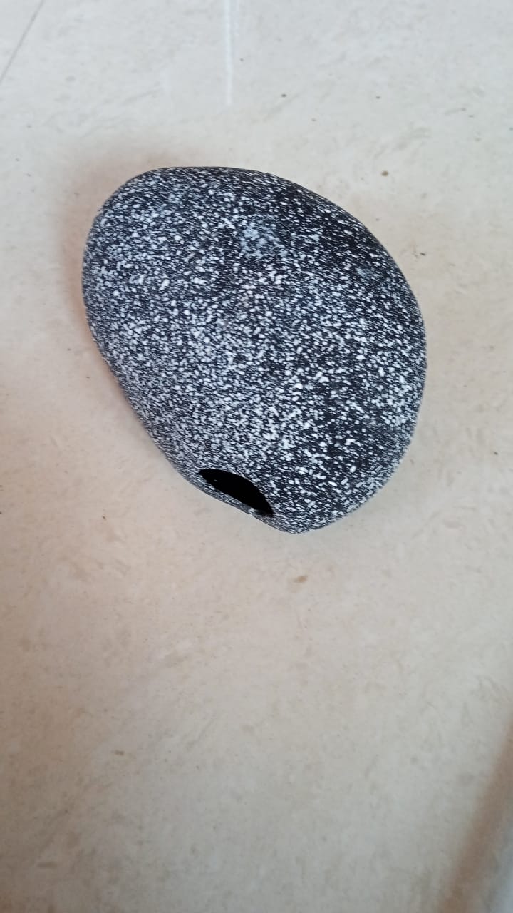 Black Cichlid Cave 4inch