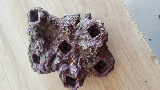 Coral Base Rock