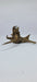 Ancient horn Driftwood (S) DWHS8
