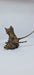 Ancient horn Driftwood (S) DWHS10