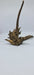 Ancient horn Driftwood (M) DWHM4