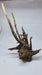 Ancient horn Driftwood (L) DWHL3