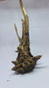 Ancient horn Driftwood (L) DWHL4