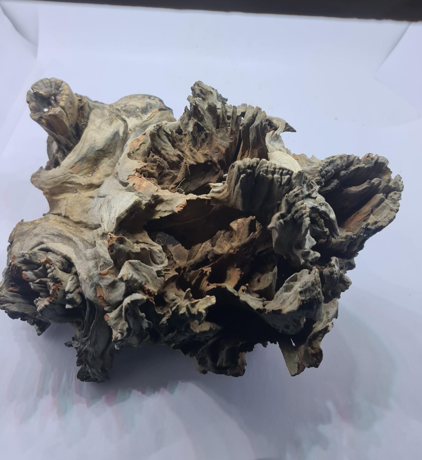 Robbers Cave Driftwood DWCXL