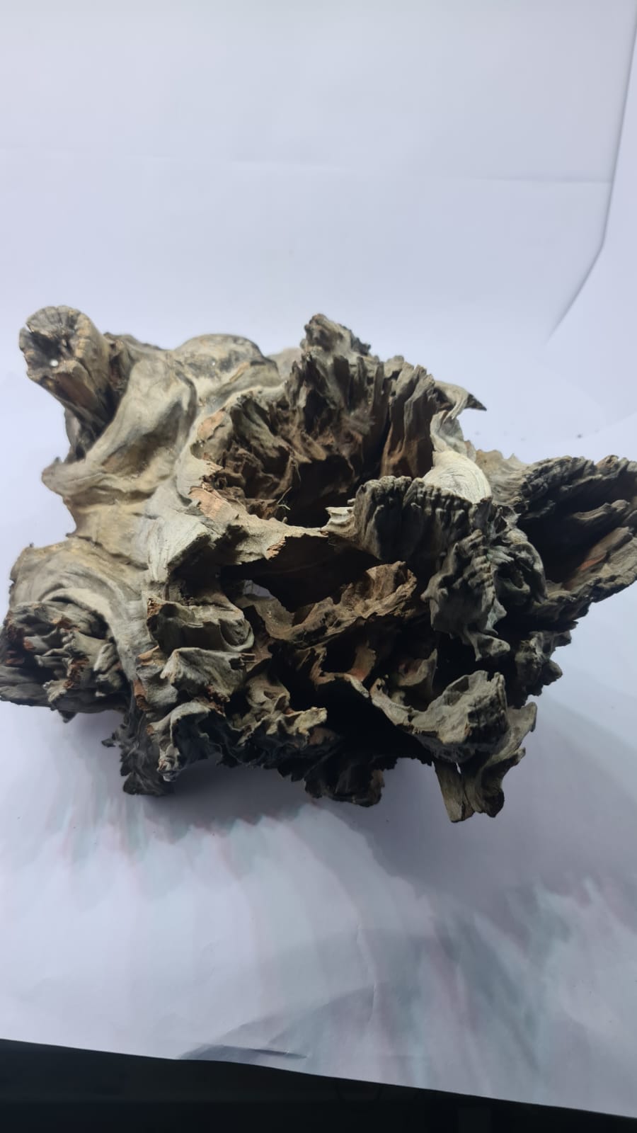 Robbers Cave Driftwood DWCXL