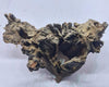 Robbers Cave Driftwood DWCL2
