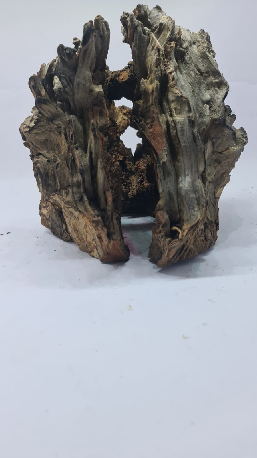 Robbers Cave Driftwood DWCL3