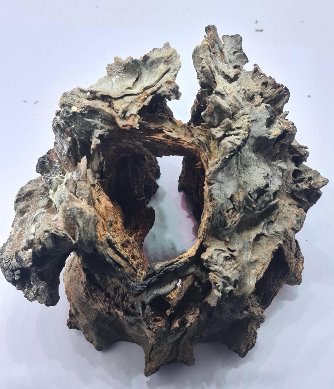 Robbers Cave Driftwood DWCL3