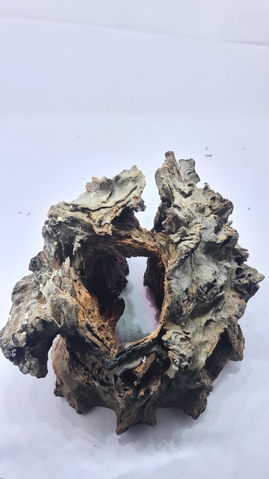Robbers Cave Driftwood DWCL3