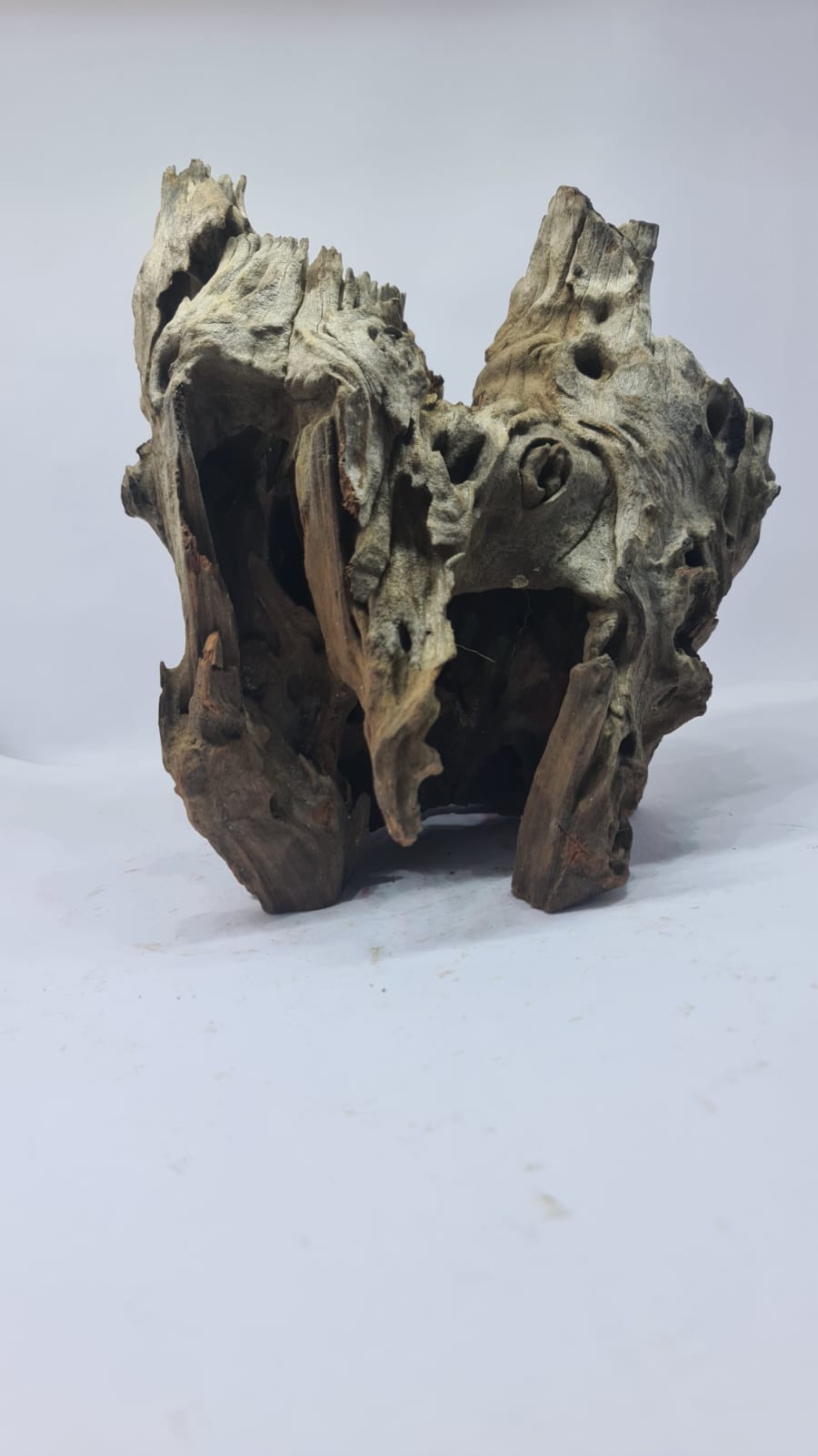 Robbers Cave Driftwood DWCL4