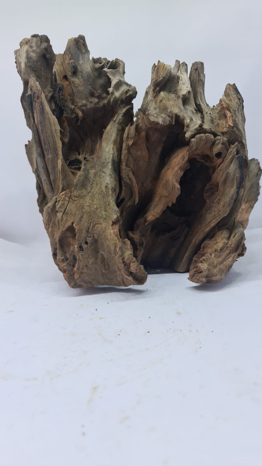 Robbers Cave Driftwood DWCL5