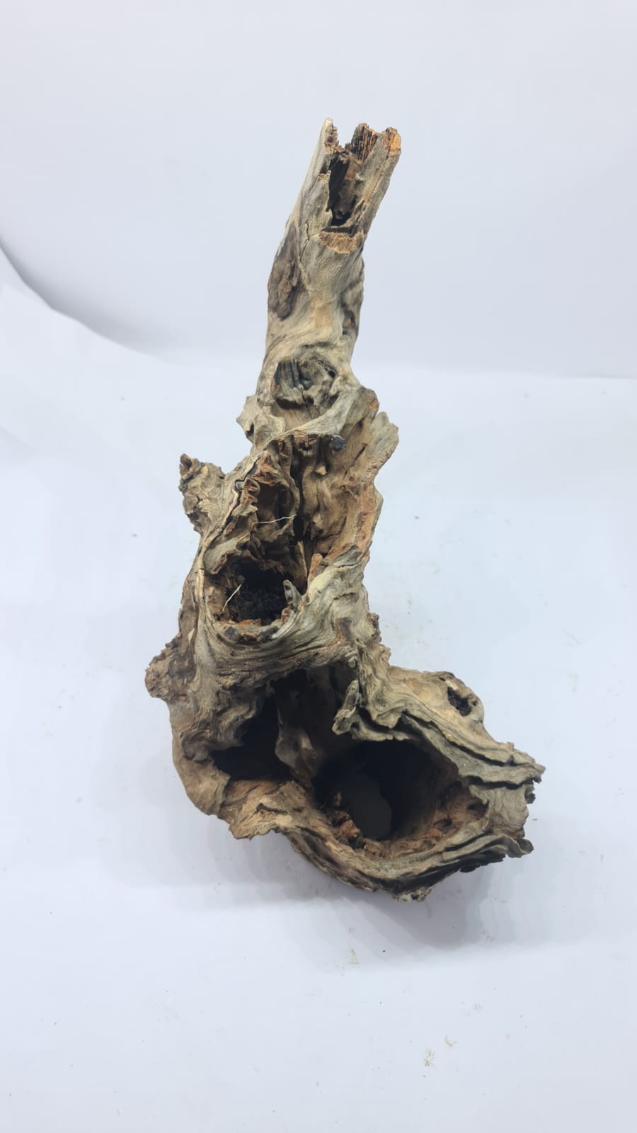 Robbers Cave Driftwood DWCM1