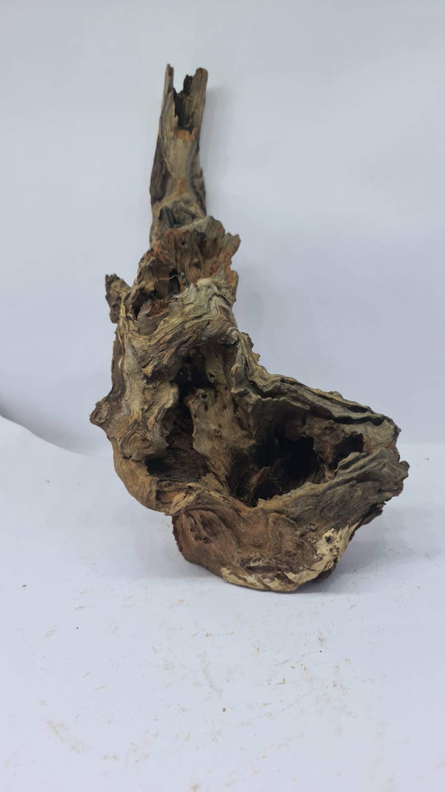 Robbers Cave Driftwood DWCM1