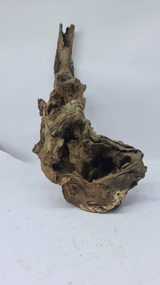 Robbers Cave Driftwood DWCM1