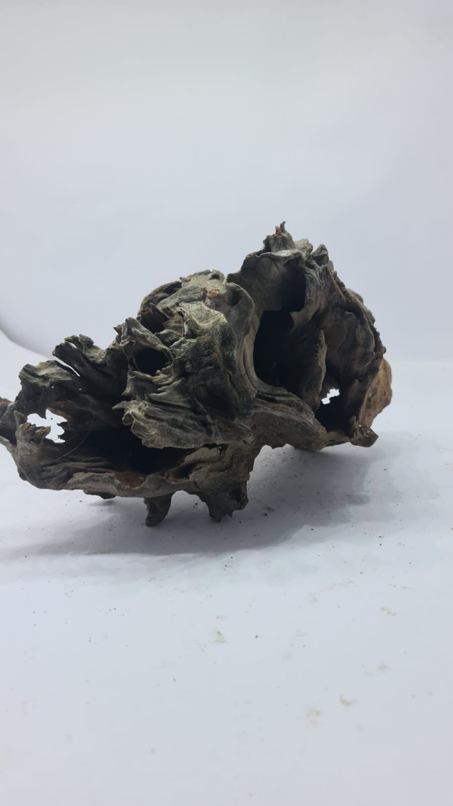 Robbers Cave Driftwood DWCM3