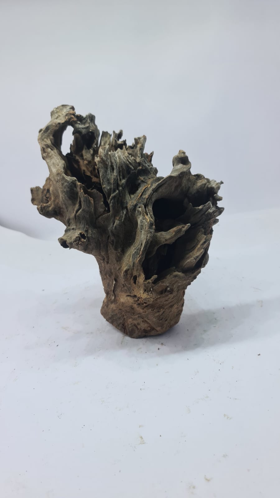 Robbers Cave Driftwood DWCM3