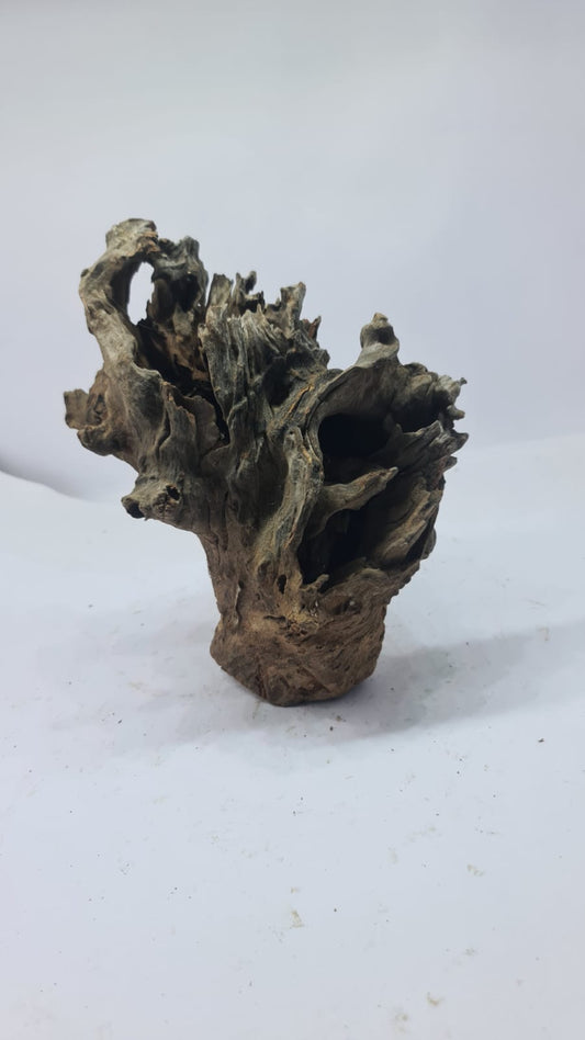 Robbers Cave Driftwood DWCM3