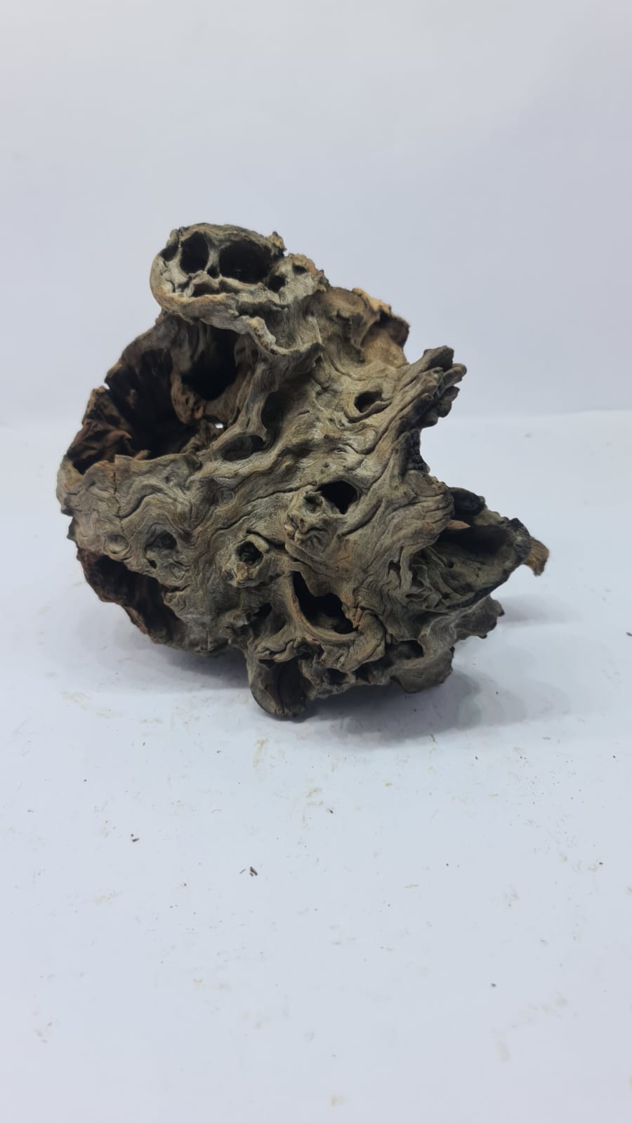 Robbers Cave Driftwood DWCM5