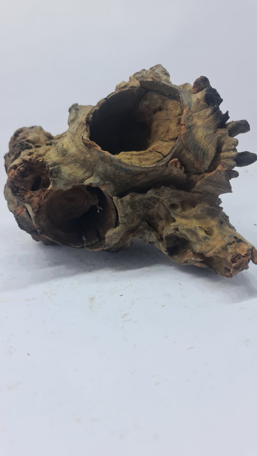 Robbers Cave Driftwood DWCM6