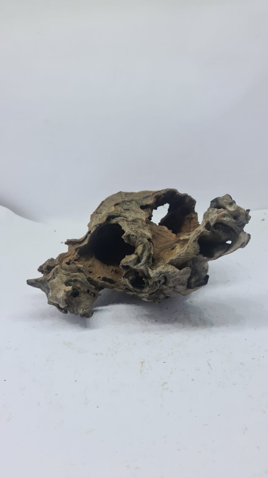 Robbers Cave Driftwood DWCM7