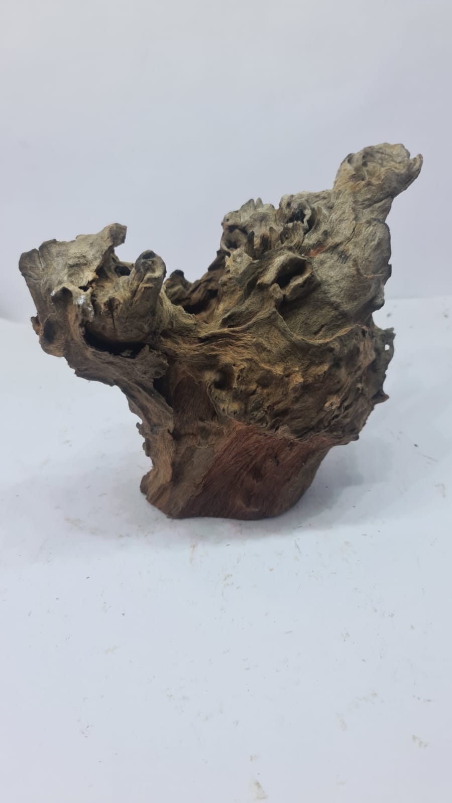 Robbers Cave Driftwood DWCM7