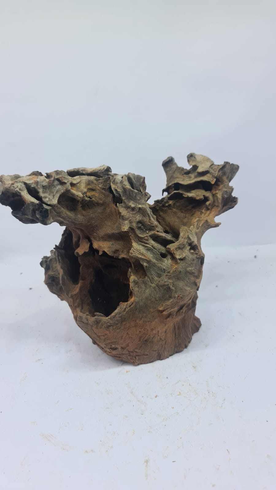 Robbers Cave Driftwood DWCM7