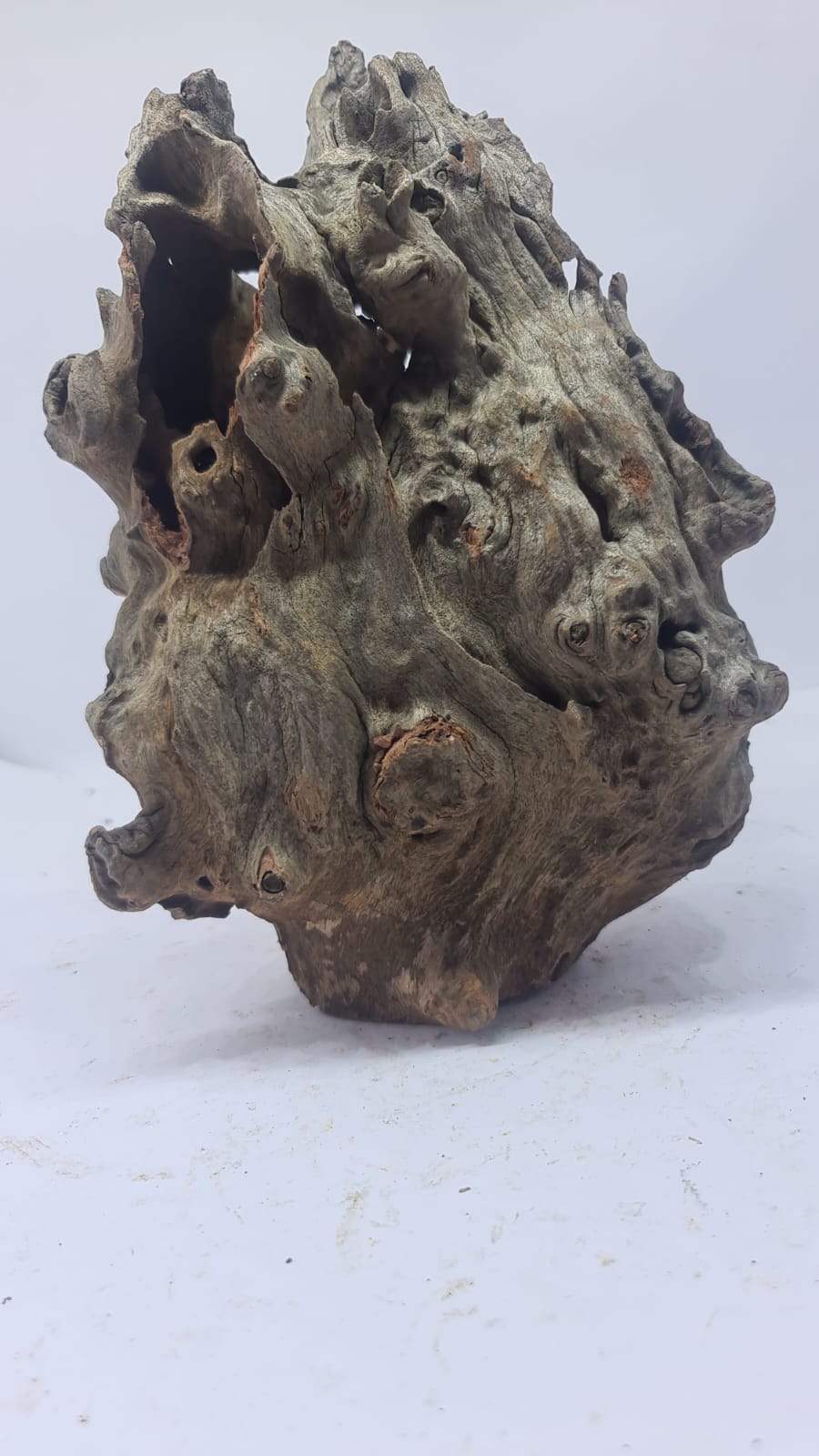 Robbers Cave Driftwood DWCM8
