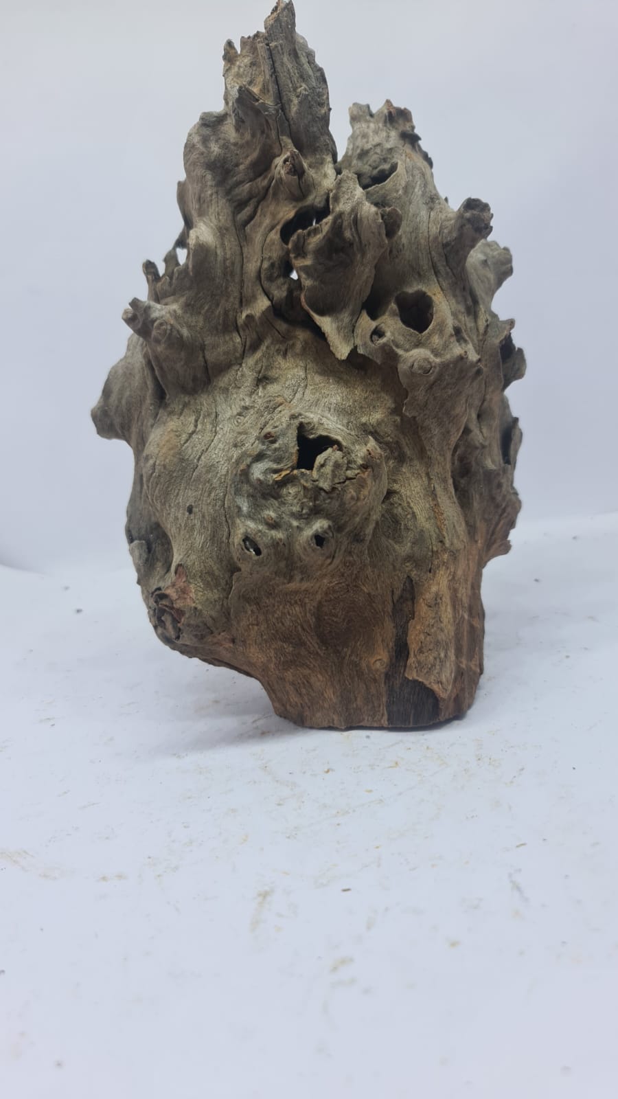 Robbers Cave Driftwood DWCM8