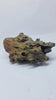 Robbers Cave Driftwood DWCM8