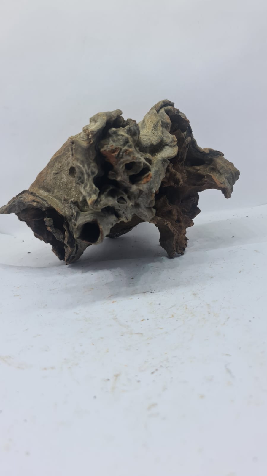 Robbers Cave Driftwood DWCM9