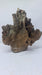 Robbers Cave Driftwood DWCM9