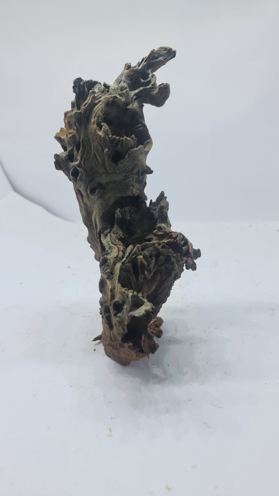 Robbers Cave Driftwood DWCS1
