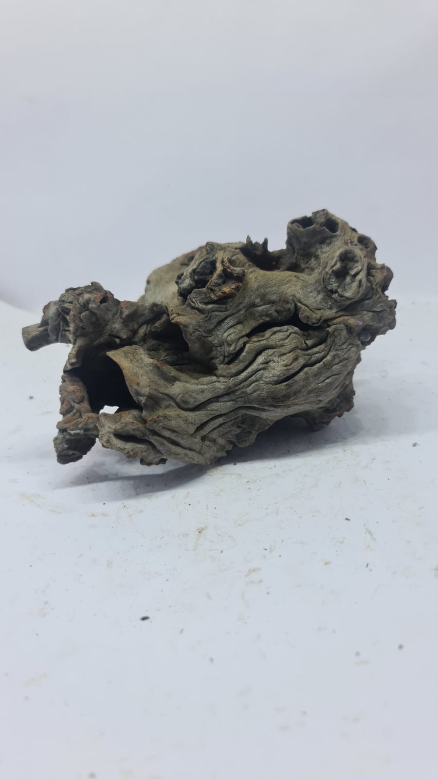 Robbers Cave Driftwood DWCS2