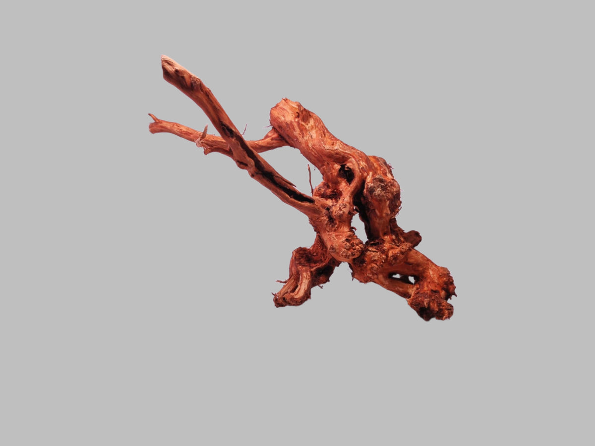 GKDM7