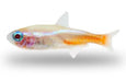 Albino Diamond Head Neon Tetra *New* (Pair)