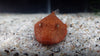 Potato Head Puffer **Super Rare**