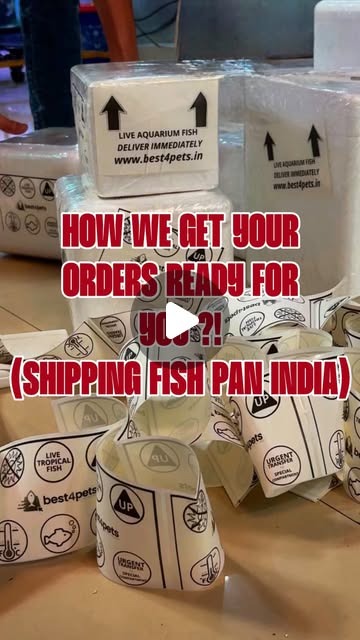 How we pack your fish — from our tanks to your door