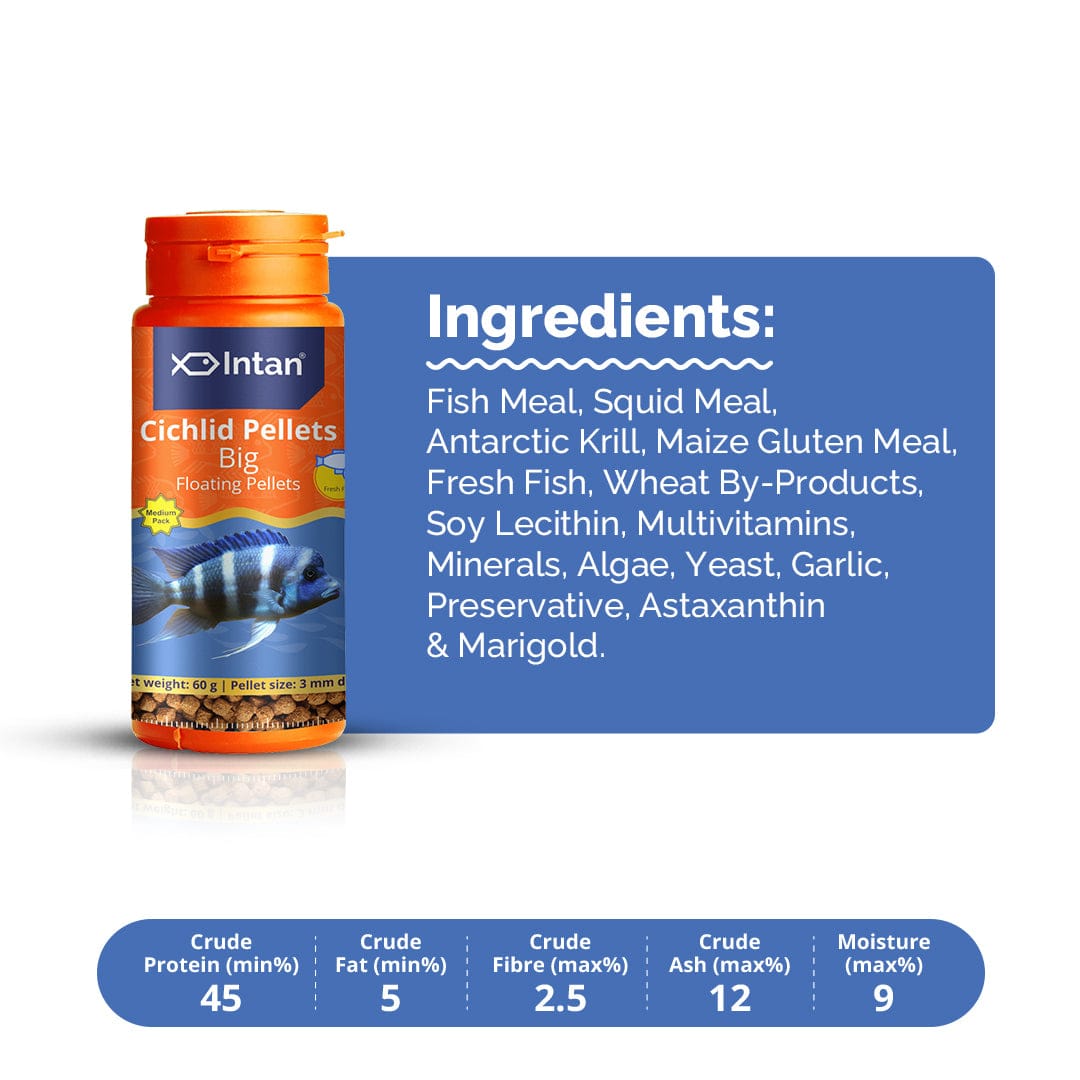 Intan Cichlid Pellets (Big)