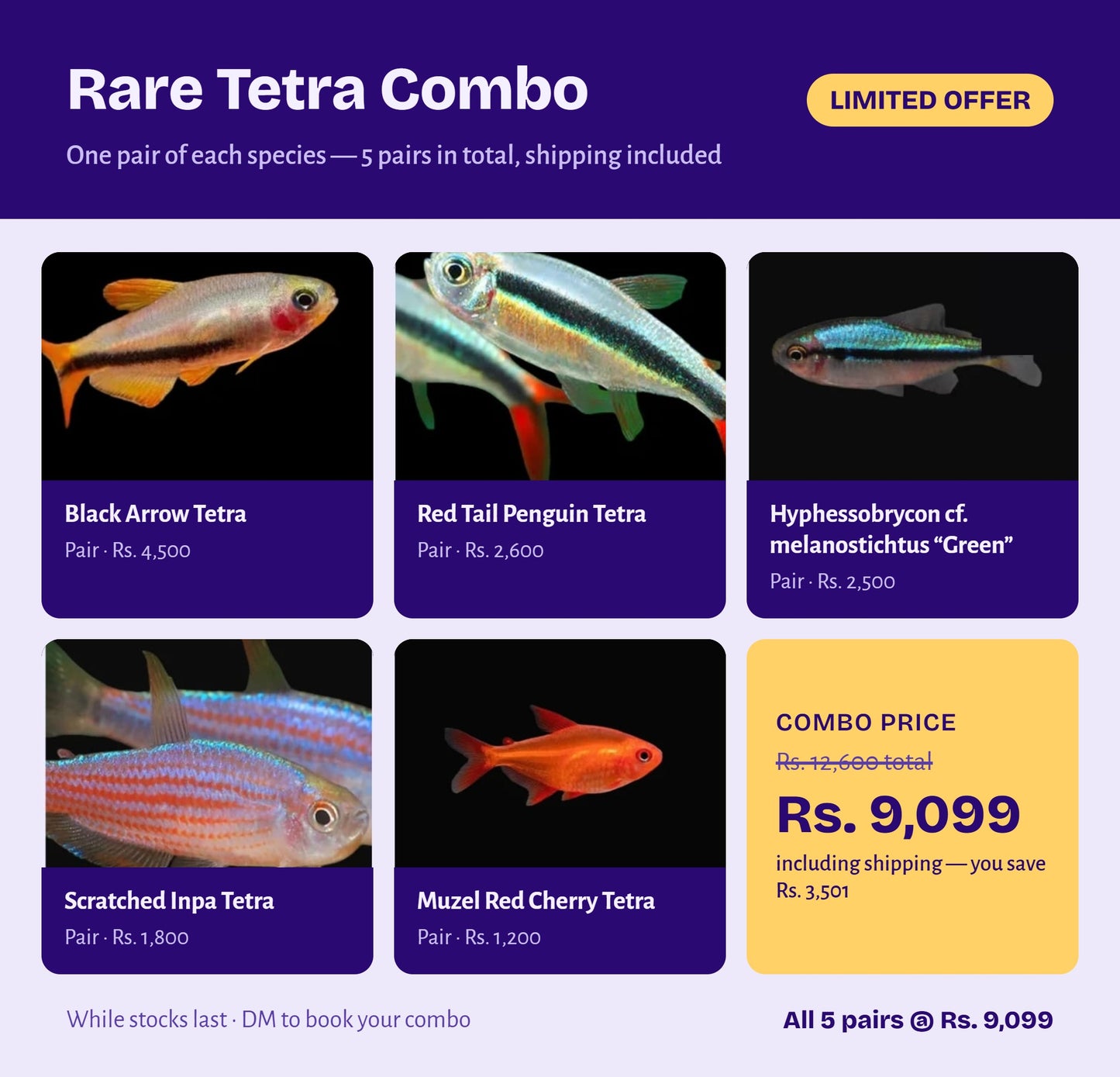 Rare Tetra Combo
